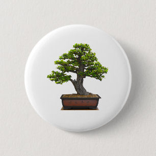 Bonsaisbaum Button