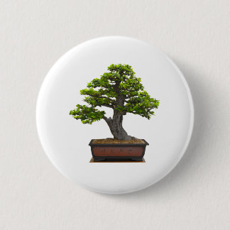 Bonsaisbaum Button