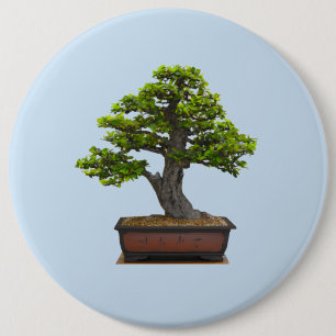 Bonsaisbaum Button