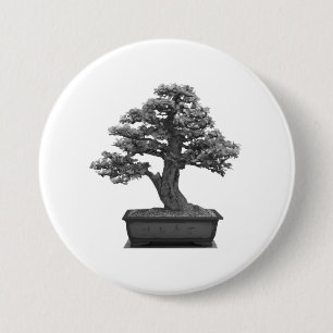 Bonsaisbaum Button