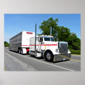 Bontragers 379 Poster (Vorne)