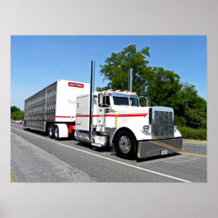 Bontragers 379 Poster