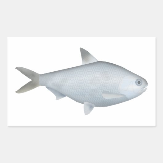 Bony Bream Rechteckiger Aufkleber (Vorderseite)