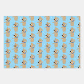 Boo-Boo-Bären-Arme breit Geschenkpapier Set (Vorderseite)