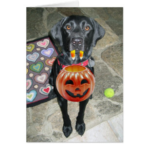 BOO der