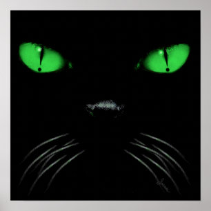 Boo - Emerald Print Poster