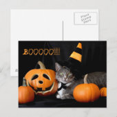 Boo Halloween Postkarte mit Katze (Vorne/Hinten)