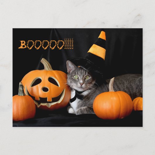 Boo Halloween Postkarte mit Katze (Vorderseite)