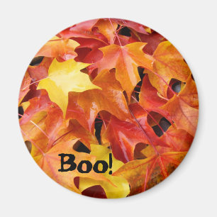 Boo! Herbst verlässt Magnete orange Gelbe Blätter Magnet
