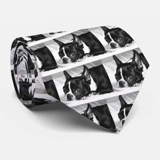 Boo Hoo Krawatte (Gerollt)