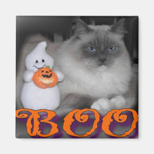 Boo Magnet