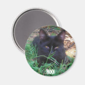 BOO! SCHWARZE KITTENTSCHEIDUNG MAGNET (Vorderseite/Rückseite)