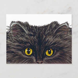 BOO! Spookokes Schwarzes Katzen aus original Wasse Postkarte