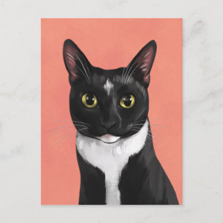 Boo the Tuxedo Cat Postcard Postkarte