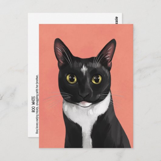 Boo the Tuxedo Cat Postcard Postkarte (Vorne/Hinten)
