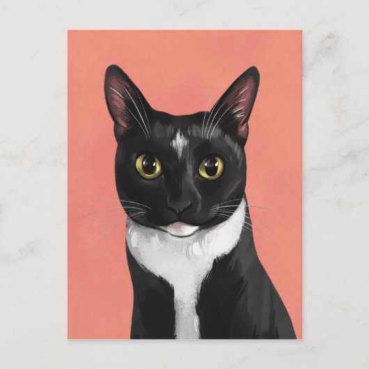 Boo the Tuxedo Cat Postcard Postkarte (Vorderseite)
