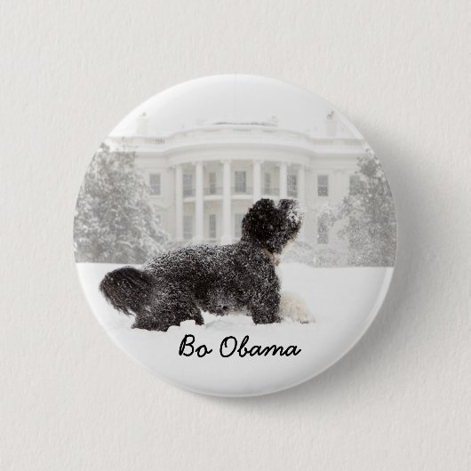 BoObama Button (Vorderseite)
