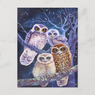 Boobook Owl Family Postkarte