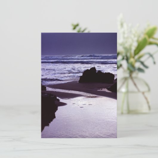 Boobys Bay Card (Stehend Vorderseite)