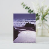 Boobys Bay Postkarte (Stehend Vorderseite)