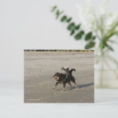 Booger, Kitty und Mousey am Strand Postkarte (Stehend Vorderseite)