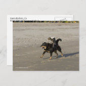 Booger, Kitty und Mousey am Strand Postkarte (Vorne/Hinten)