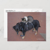 Booger, Kitty und Mousey auf der Staat Street Postkarte (Vorne/Hinten)