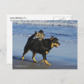 Booger, Kitty und Mousey Postkarte (Vorne/Hinten)