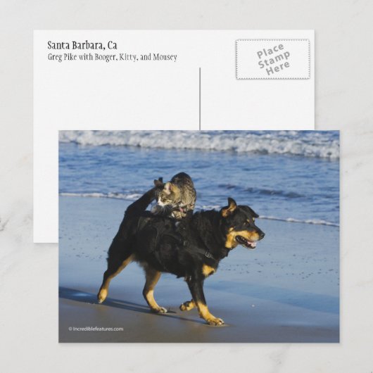 Booger, Kitty und Mousey Postkarte (Vorne/Hinten)