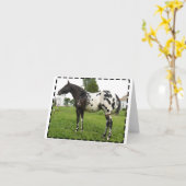 BOOGIE-BIENEN-JET-MITTEILUNGSKARTEN KARTE (Gelbe Blume)