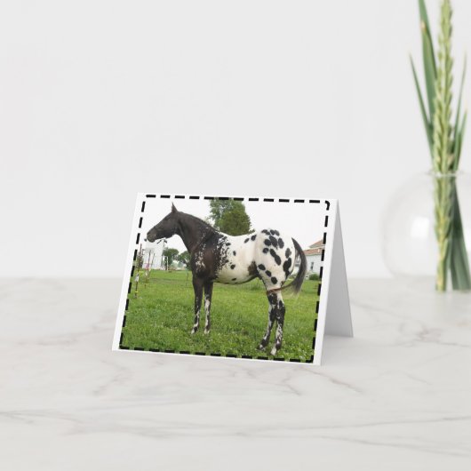 BOOGIE-BIENEN-JET-MITTEILUNGSKARTEN KARTE (Vorderseite)