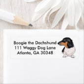 Boogie der Dackel-Adressenmarkierungen (Insitu)