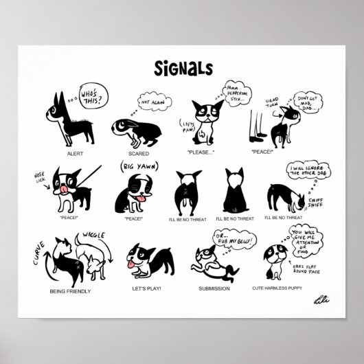 Boogie Signale von Lili Chin Poster (Vorne)