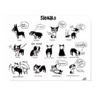 Boogie Signale von Lili Chin