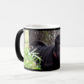 Boogie-Tasse Verwandlungstasse (Vorderseite Links)
