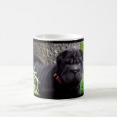 Boogie-Tasse Verwandlungstasse (Mittel)