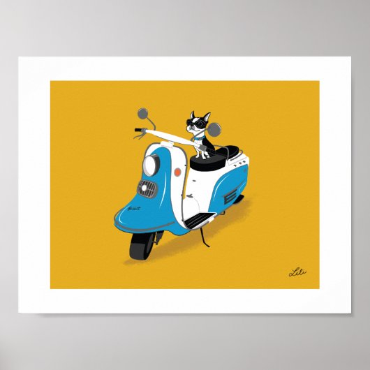 Boogie über Fuji Rabbit Poster (Vorne)