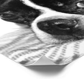 Boohoo Poster (Ecke)