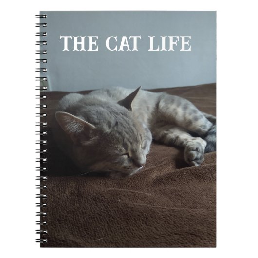 Book the Cat life Notizblock (Vorderseite)