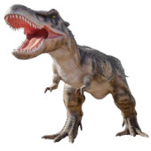 BOOK World Dinosaurier Dschungel Runder Aufkleber