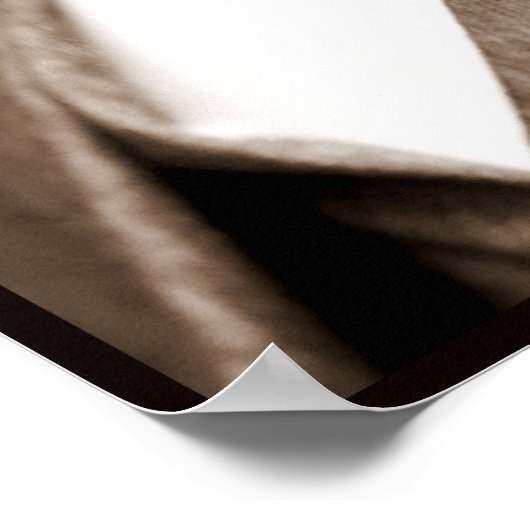 Booker T. Washington The Great Accommodator Poster (Ecke)