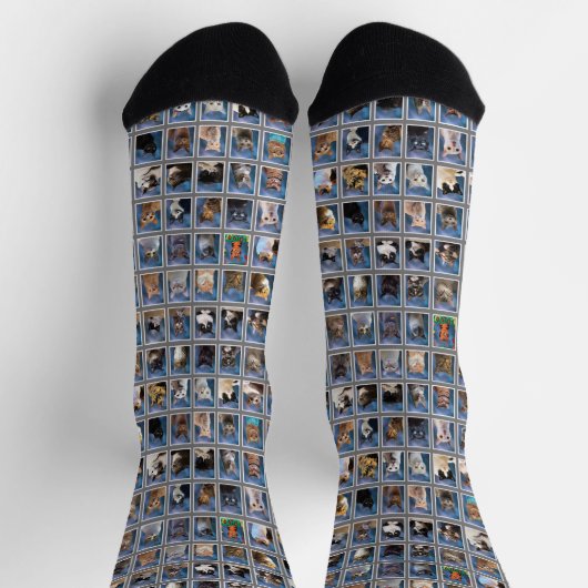 Booking Group Cat Yearbook Socken (Oben)