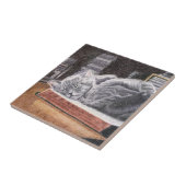 Bookstore Cat Fliese (Seite)