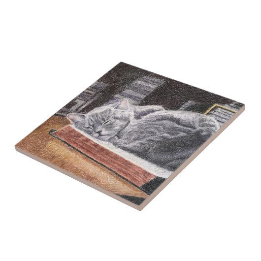 Bookstore Cat Fliese (Seite)