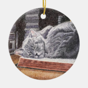 Bookstore Cat Keramik Ornament