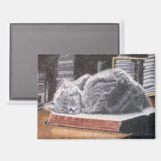 Bookstore Cat Magnet (Vorderseite/Rückseite)
