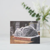 Bookstore Cat Postkarte (Stehend Vorderseite)