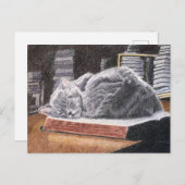 Bookstore Cat Postkarte (Vorne/Hinten)