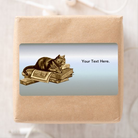 Bookworm Kitty Cat Reading Books (Insitu)