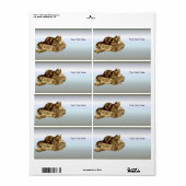 Bookworm Kitty Cat Reading Books (Vorne)